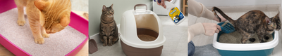 5 tips para eliminar el mal olor del arenero de tu gato