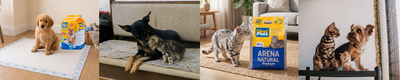 Adopción de mascotas: una decisión que cambia vidas