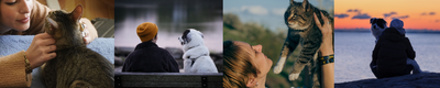Beneficios de las mascotas en la salud mental