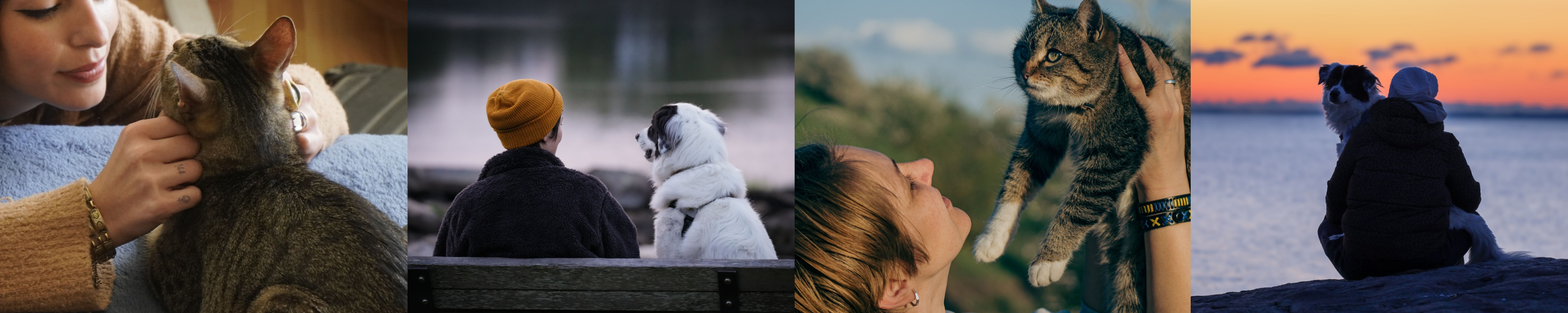 Beneficios de las mascotas en la salud mental