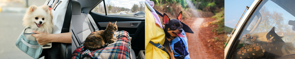 Checklist para viajar con mascotas