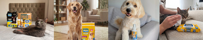 ¿Cómo elegir productos de higiene para mascota?