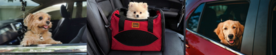 Guía práctica para viajar con perro en auto