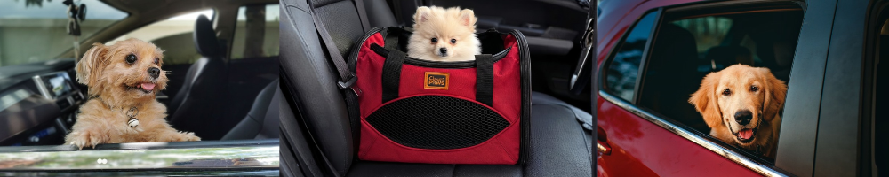 Guía práctica para viajar con perro en auto