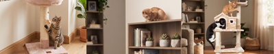 ¿Por qué los gatos buscan las alturas?