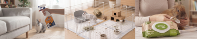 Productos para conejos: 5 Esenciales
