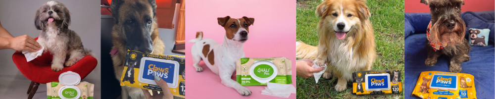 toallitas humedas para mascota
