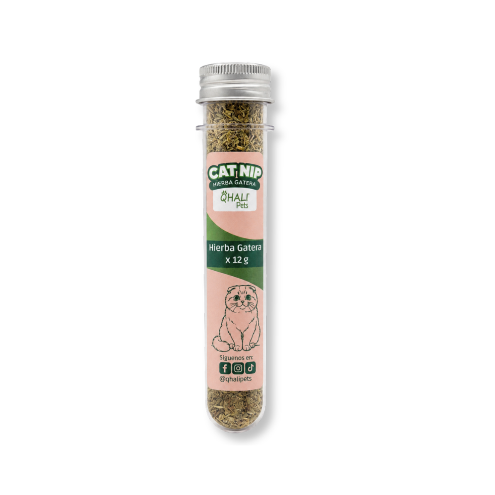 Qhali Pets Catnip x tubo 12 gr.