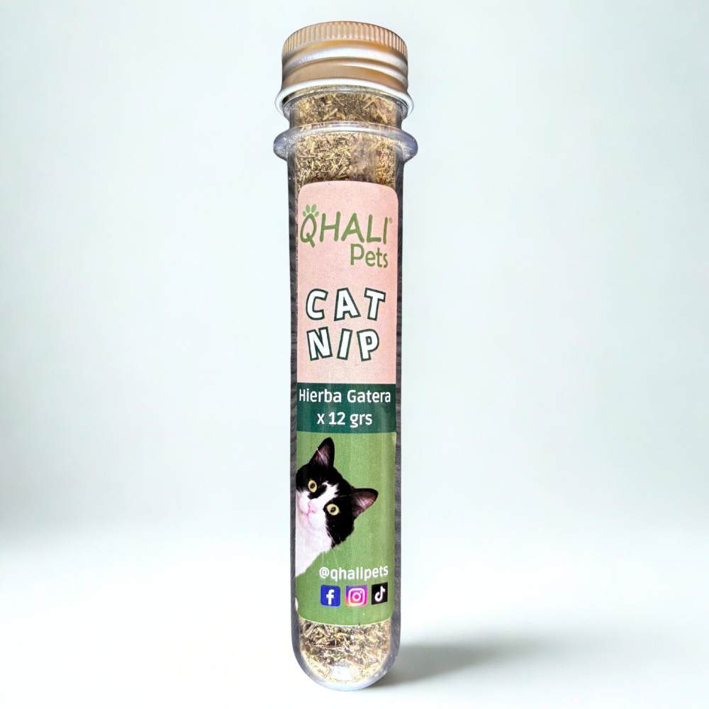 Qhali Pets Catnip x tubo 8 gr.